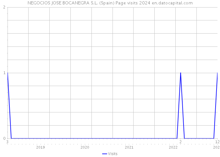 NEGOCIOS JOSE BOCANEGRA S.L. (Spain) Page visits 2024 