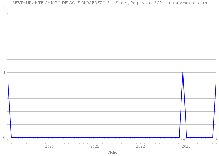 RESTAURANTE CAMPO DE GOLF RIOCEREZO SL. (Spain) Page visits 2024 