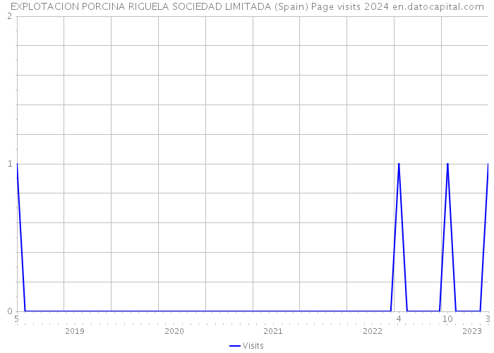 EXPLOTACION PORCINA RIGUELA SOCIEDAD LIMITADA (Spain) Page visits 2024 