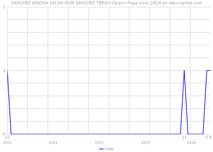 SANCHEZ ARJONA SALVA-DOR SANCHEZ TERAN (Spain) Page visits 2024 