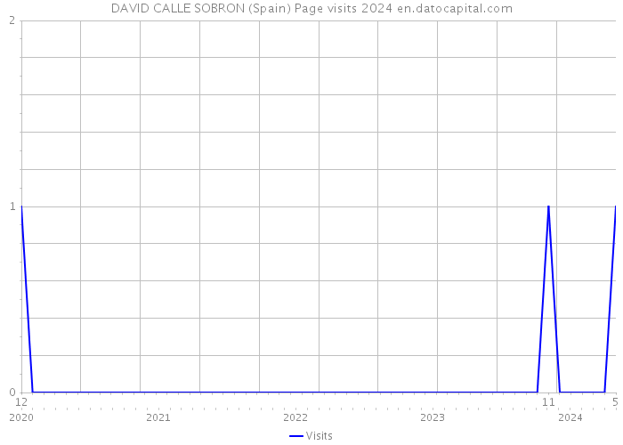 DAVID CALLE SOBRON (Spain) Page visits 2024 