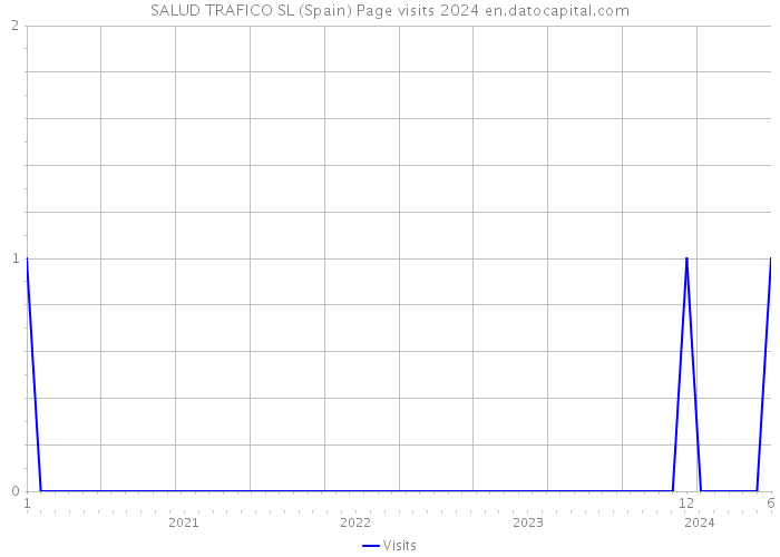 SALUD TRAFICO SL (Spain) Page visits 2024 