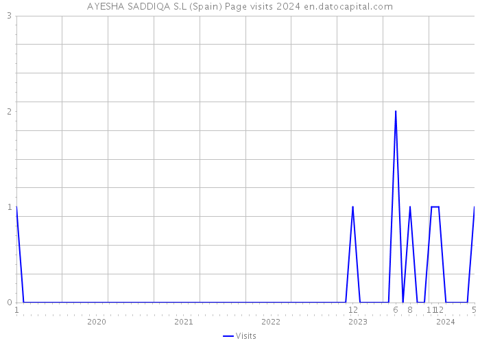 AYESHA SADDIQA S.L (Spain) Page visits 2024 