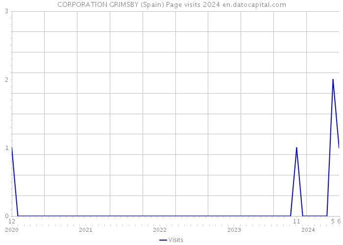 CORPORATION GRIMSBY (Spain) Page visits 2024 