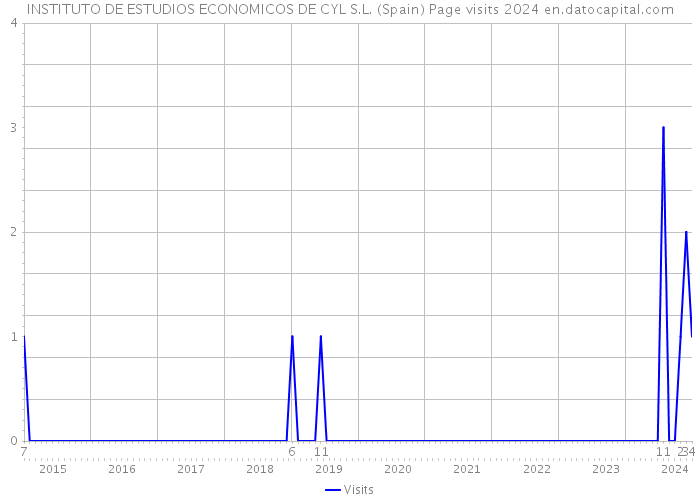 INSTITUTO DE ESTUDIOS ECONOMICOS DE CYL S.L. (Spain) Page visits 2024 