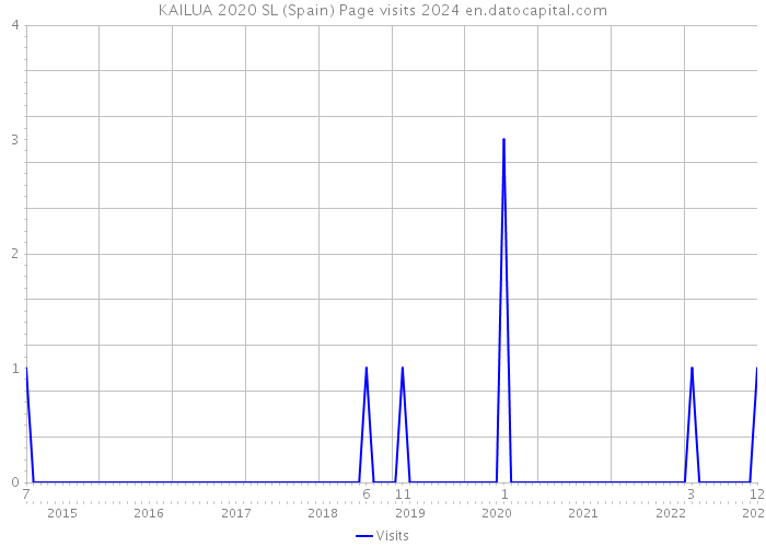 KAILUA 2020 SL (Spain) Page visits 2024 
