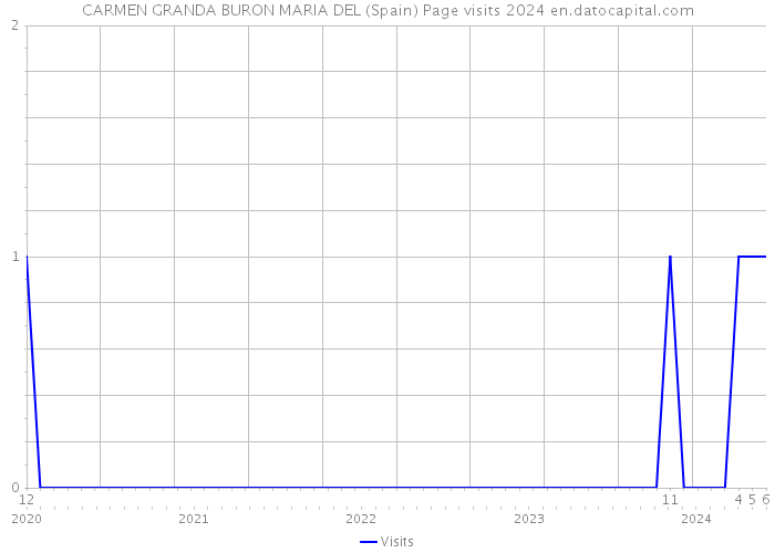 CARMEN GRANDA BURON MARIA DEL (Spain) Page visits 2024 