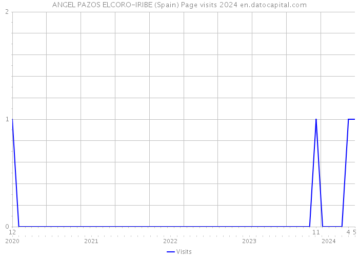 ANGEL PAZOS ELCORO-IRIBE (Spain) Page visits 2024 