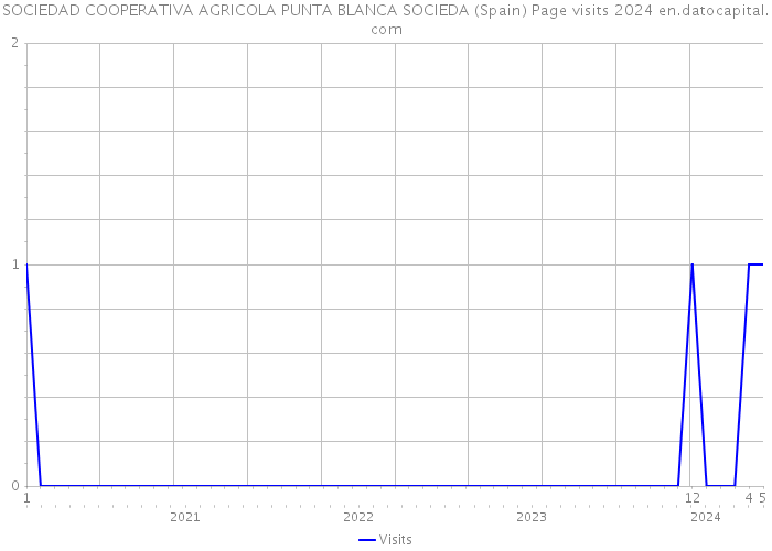 SOCIEDAD COOPERATIVA AGRICOLA PUNTA BLANCA SOCIEDA (Spain) Page visits 2024 