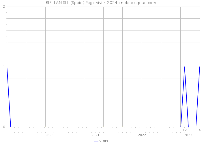 BIZI LAN SLL (Spain) Page visits 2024 