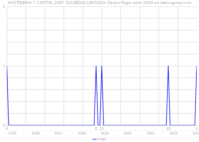 HOSTELERIA Y CAPITAL 2007 SOCIEDAD LIMITADA (Spain) Page visits 2024 
