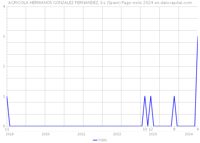 AGRICOLA HERMANOS GONZALEZ FERNANDEZ, S.L (Spain) Page visits 2024 