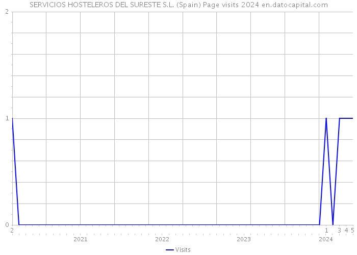 SERVICIOS HOSTELEROS DEL SURESTE S.L. (Spain) Page visits 2024 