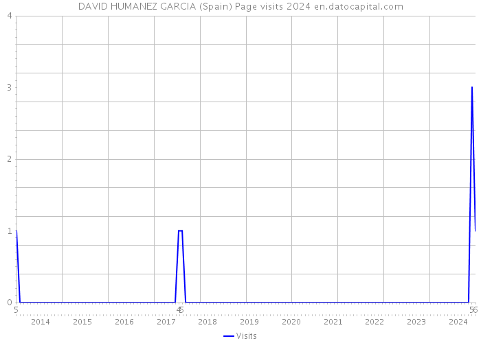 DAVID HUMANEZ GARCIA (Spain) Page visits 2024 