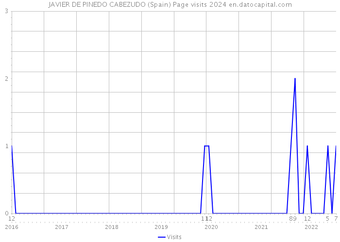 JAVIER DE PINEDO CABEZUDO (Spain) Page visits 2024 