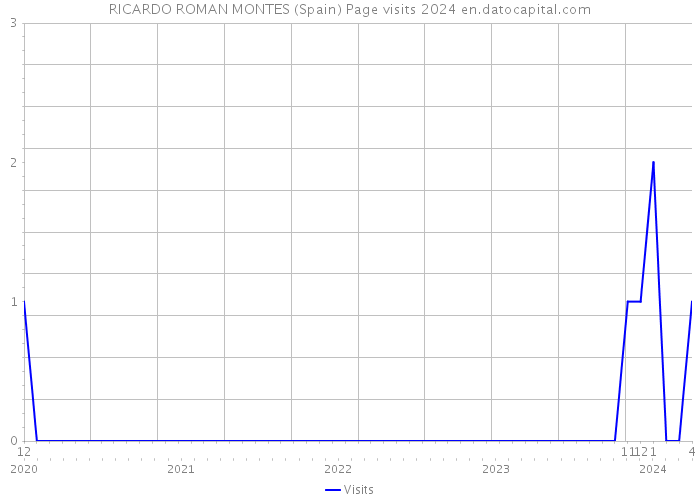 RICARDO ROMAN MONTES (Spain) Page visits 2024 