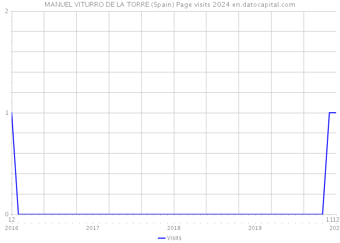 MANUEL VITURRO DE LA TORRE (Spain) Page visits 2024 