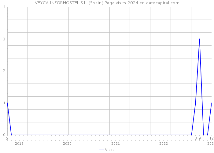 VEYCA INFORHOSTEL S.L. (Spain) Page visits 2024 