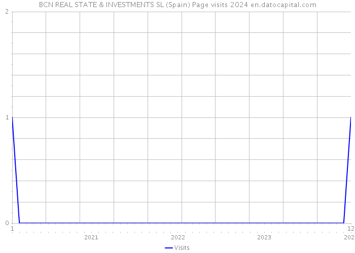 BCN REAL STATE & INVESTMENTS SL (Spain) Page visits 2024 