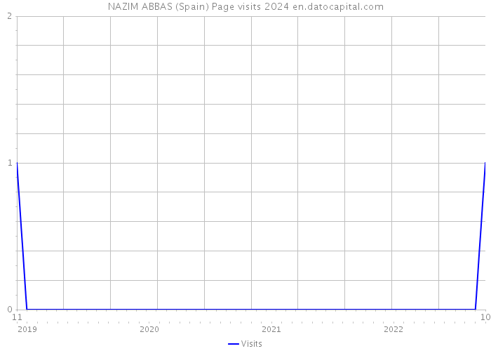 NAZIM ABBAS (Spain) Page visits 2024 