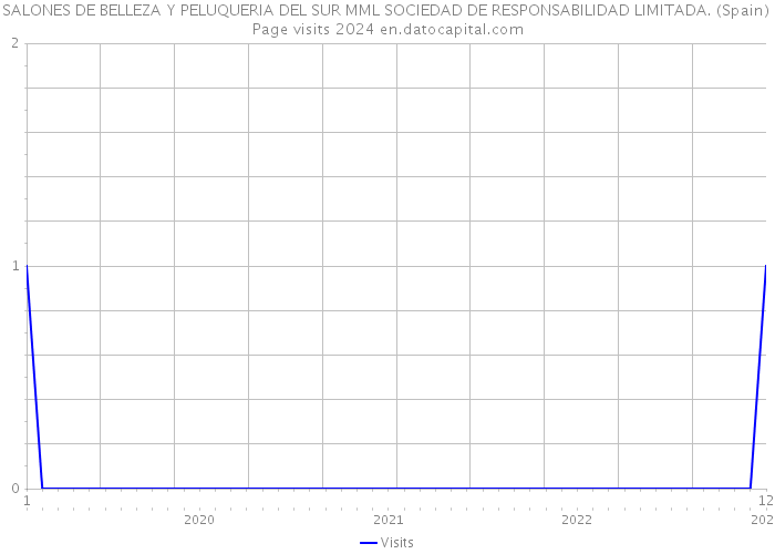 SALONES DE BELLEZA Y PELUQUERIA DEL SUR MML SOCIEDAD DE RESPONSABILIDAD LIMITADA. (Spain) Page visits 2024 