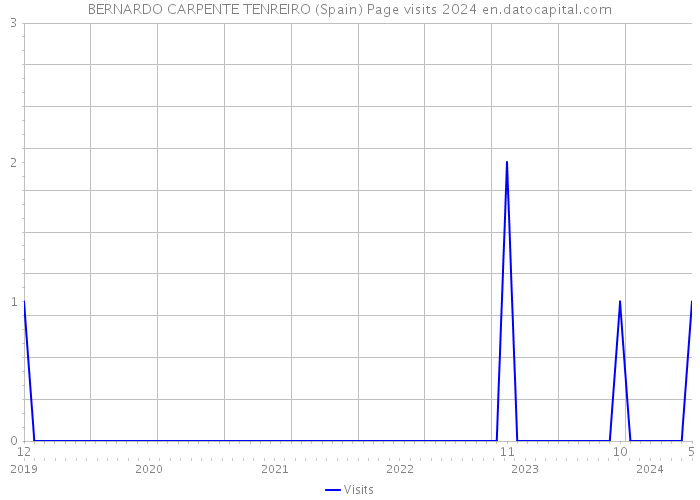 BERNARDO CARPENTE TENREIRO (Spain) Page visits 2024 