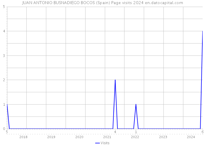 JUAN ANTONIO BUSNADIEGO BOCOS (Spain) Page visits 2024 