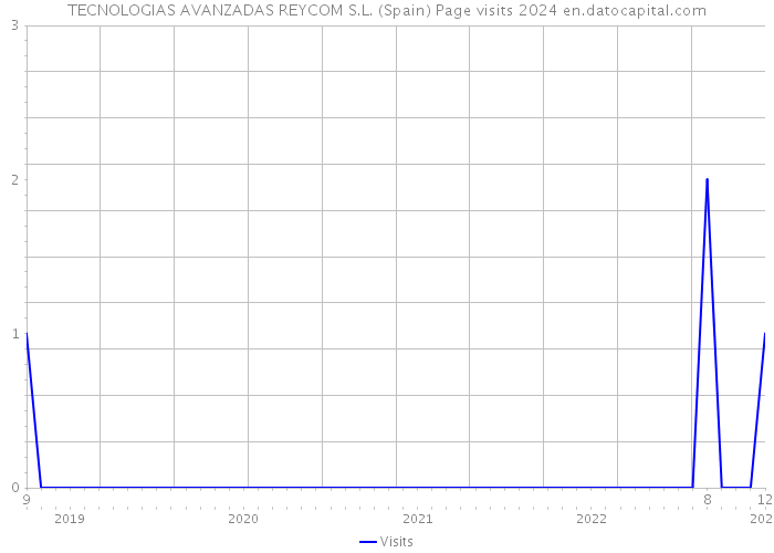 TECNOLOGIAS AVANZADAS REYCOM S.L. (Spain) Page visits 2024 