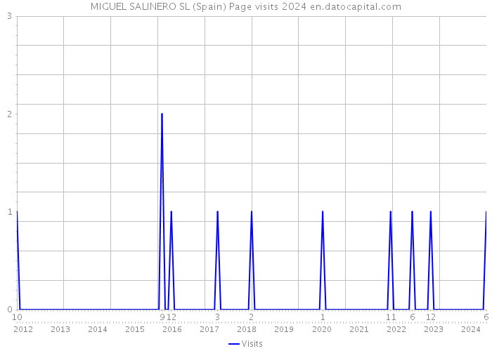 MIGUEL SALINERO SL (Spain) Page visits 2024 