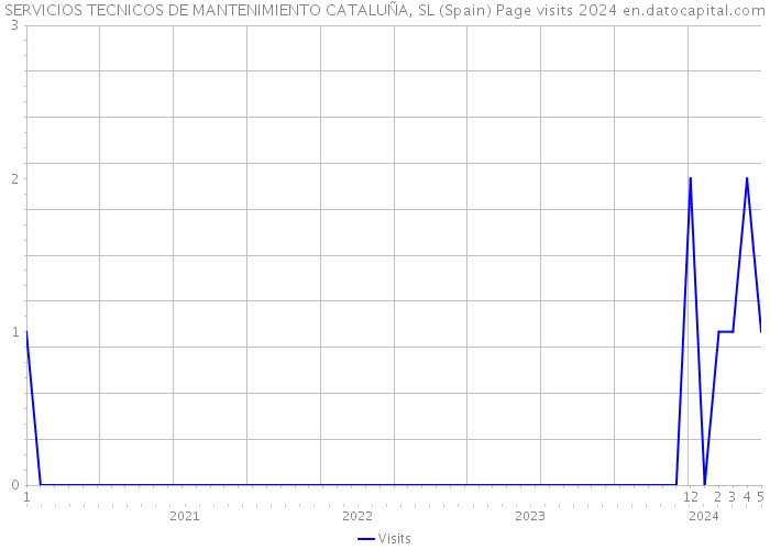 SERVICIOS TECNICOS DE MANTENIMIENTO CATALUÑA, SL (Spain) Page visits 2024 