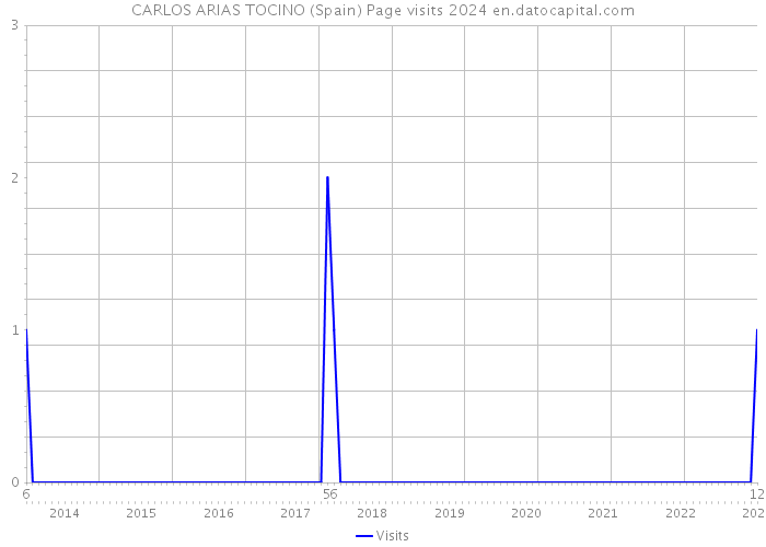 CARLOS ARIAS TOCINO (Spain) Page visits 2024 