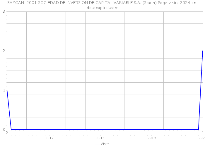 SAYCAN-2001 SOCIEDAD DE INVERSION DE CAPITAL VARIABLE S.A. (Spain) Page visits 2024 
