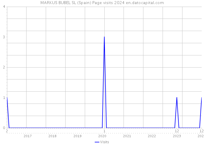 MARKUS BUBEL SL (Spain) Page visits 2024 