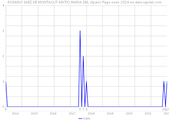 ROSARIO SAEZ DE MONTAGUT ARITIO MARIA DEL (Spain) Page visits 2024 