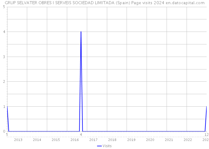 GRUP SELVATER OBRES I SERVEIS SOCIEDAD LIMITADA (Spain) Page visits 2024 