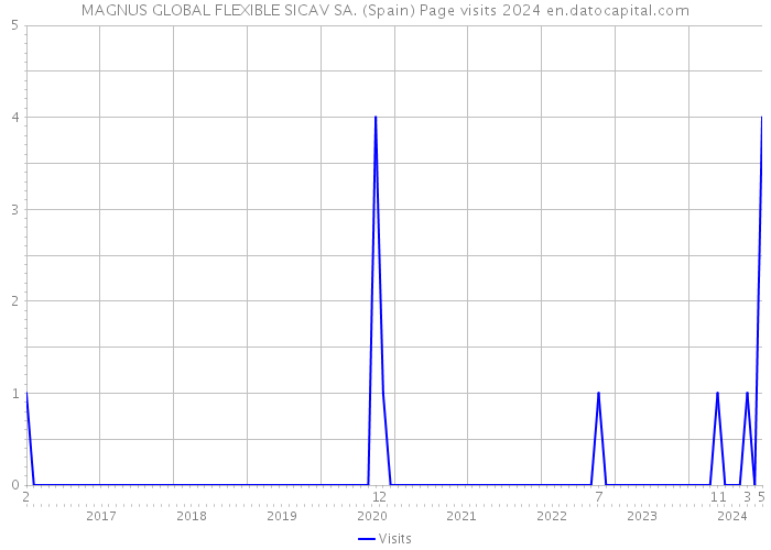 MAGNUS GLOBAL FLEXIBLE SICAV SA. (Spain) Page visits 2024 