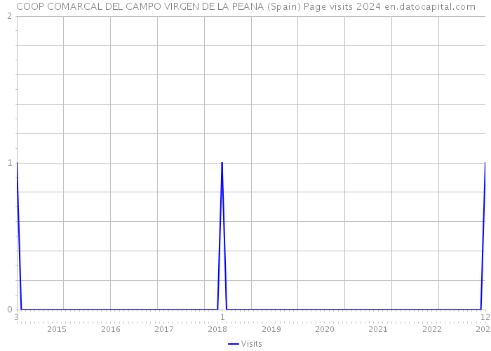 COOP COMARCAL DEL CAMPO VIRGEN DE LA PEANA (Spain) Page visits 2024 