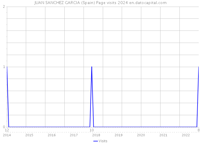 JUAN SANCHEZ GARCIA (Spain) Page visits 2024 