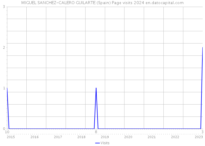 MIGUEL SANCHEZ-CALERO GUILARTE (Spain) Page visits 2024 