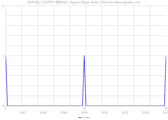 RAFAEL CASTRO BERNAL (Spain) Page visits 2024 