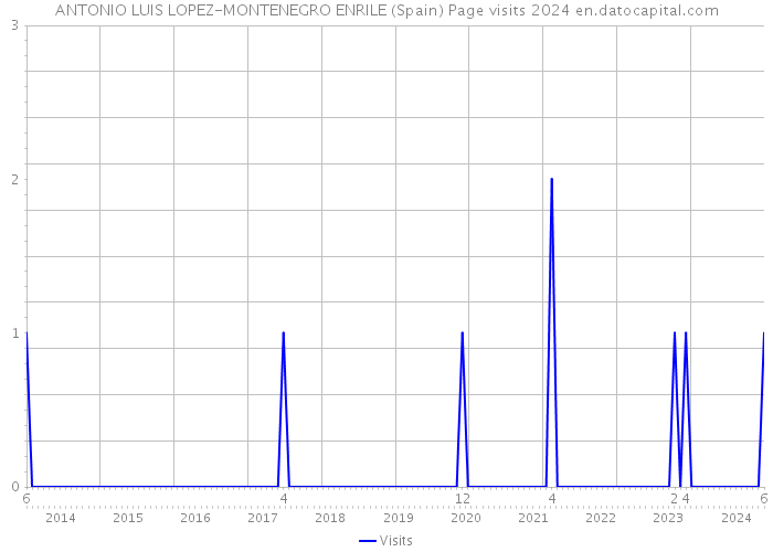 ANTONIO LUIS LOPEZ-MONTENEGRO ENRILE (Spain) Page visits 2024 