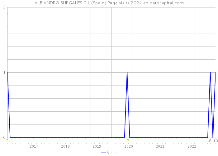 ALEJANDRO BURGALES GIL (Spain) Page visits 2024 