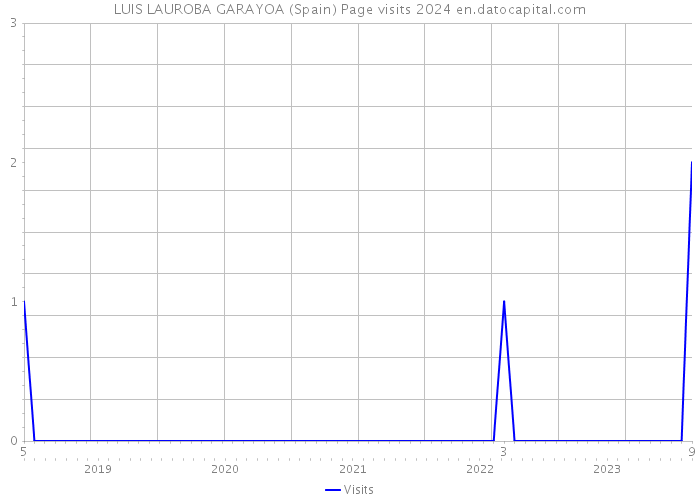 LUIS LAUROBA GARAYOA (Spain) Page visits 2024 