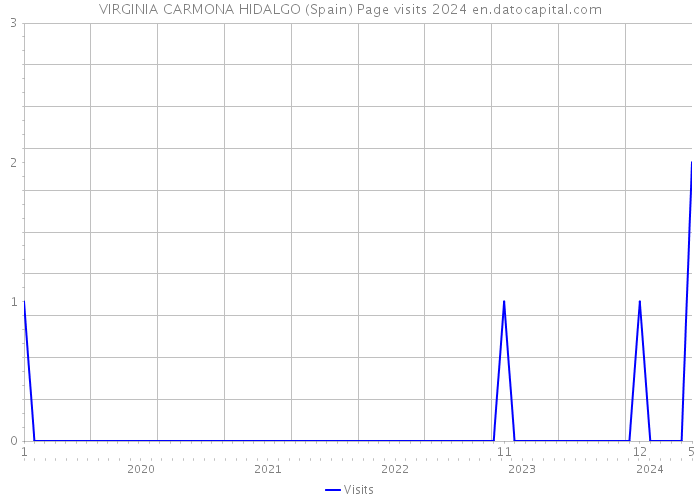 VIRGINIA CARMONA HIDALGO (Spain) Page visits 2024 