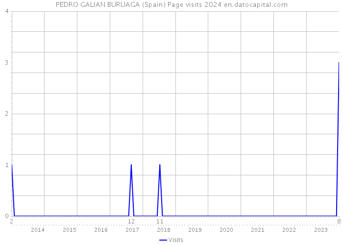 PEDRO GALIAN BURUAGA (Spain) Page visits 2024 