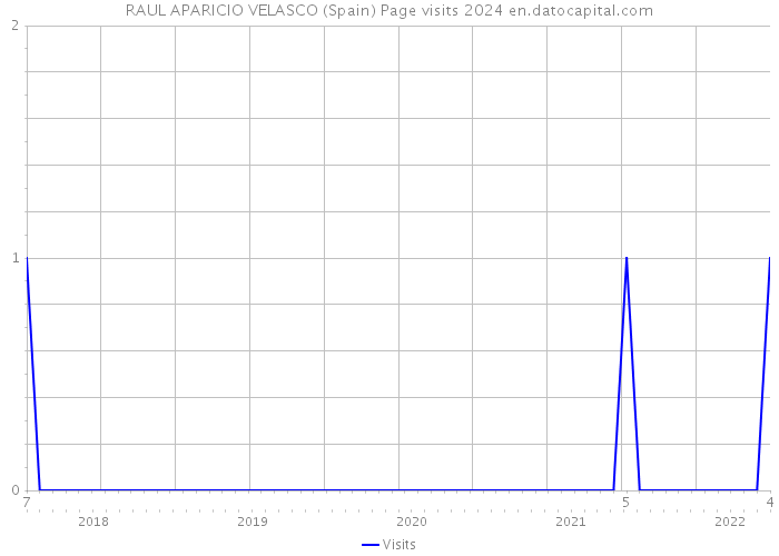 RAUL APARICIO VELASCO (Spain) Page visits 2024 