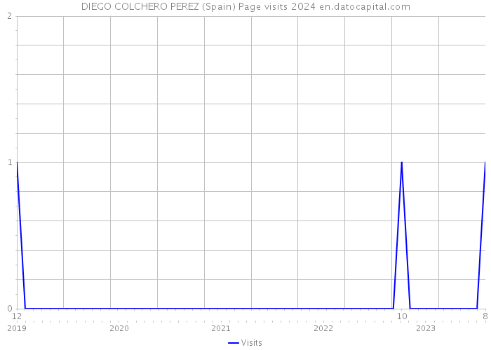 DIEGO COLCHERO PEREZ (Spain) Page visits 2024 