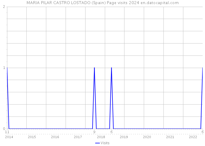 MARIA PILAR CASTRO LOSTADO (Spain) Page visits 2024 