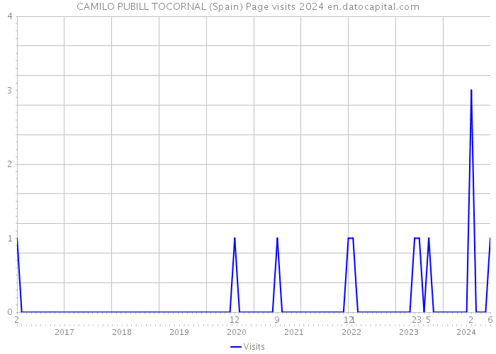 CAMILO PUBILL TOCORNAL (Spain) Page visits 2024 