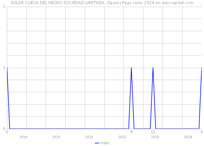 SOLAR CUEVA DEL NEGRO SOCIEDAD LIMITADA. (Spain) Page visits 2024 
